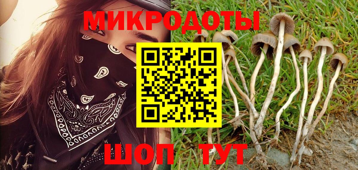 Галлюциногенные грибы прущие грибы Спасск-Дальний